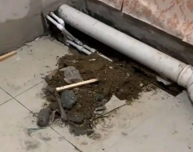 怀化卫生间漏水检测哪家好